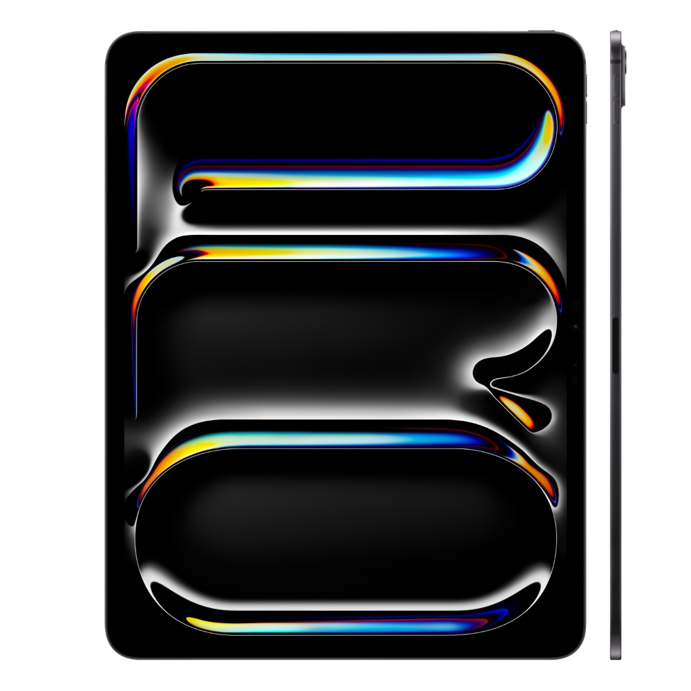 Apple iPad Pro WiFi 256GB with Standard Glass - Space Black, 11 in