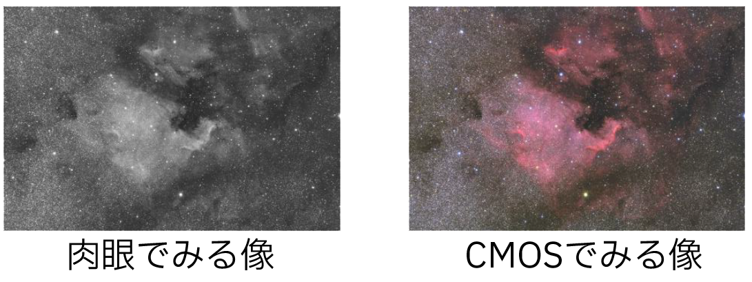 電視観望 超初級編 望遠鏡・双眼鏡など光学機器の販売店 ネイチャー