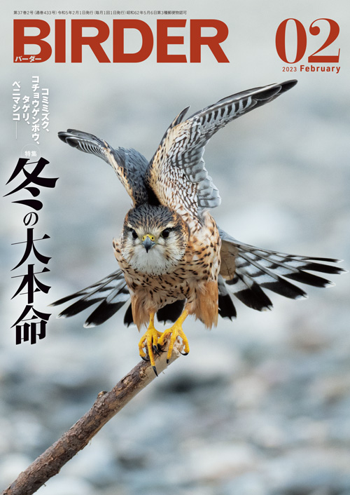 美品【BIRDER 】2023年 BIRDER 2023年 09 月号 [雑誌] |本 | 通販 | Amazon