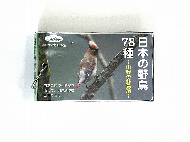 Birdscape オリジナルA4クリアファイル3種セット Hobby's World｜野鳥