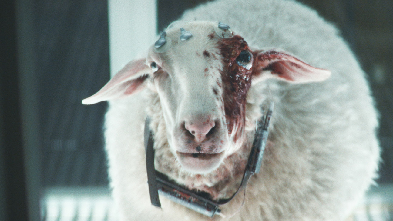 Alien: Earth' Boss Noah Hawley on That Creepy Eye-Sheep Alien