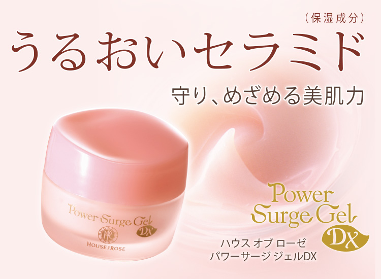 ハウス オブ ローゼ パワーサージ ジェルDX