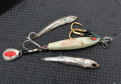 ジャックアイTG｜製品情報｜HAYABUSA｜株式会社ハヤブサ