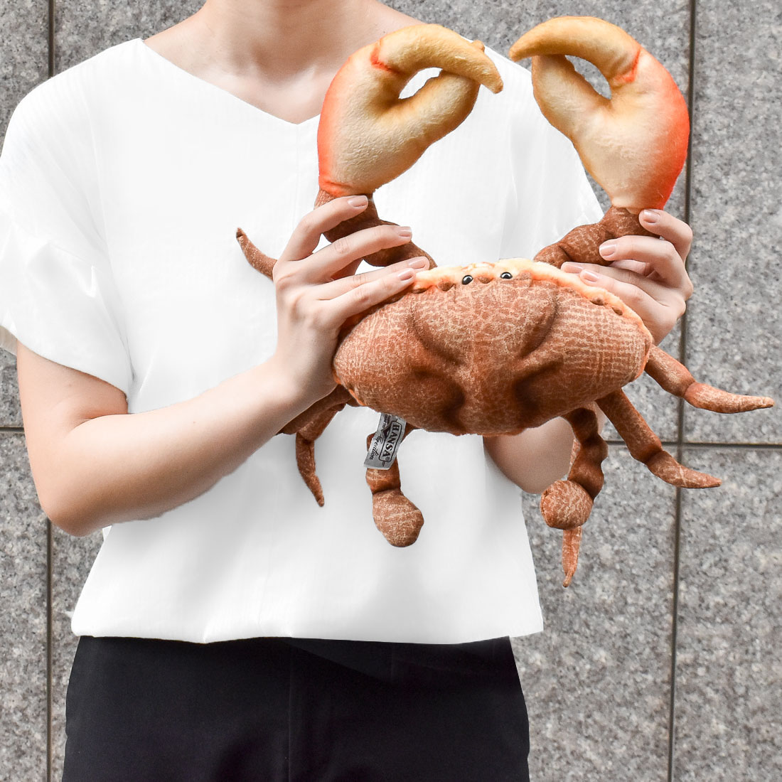 カニ オレンジ 35 | HANSA