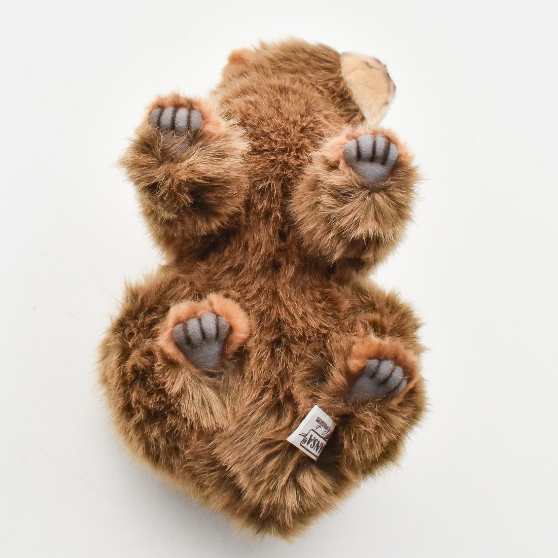 クマ(仔) 25 | HANSA