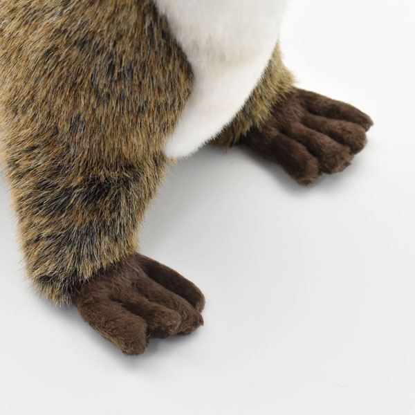 カワウソ 69 | HANSA