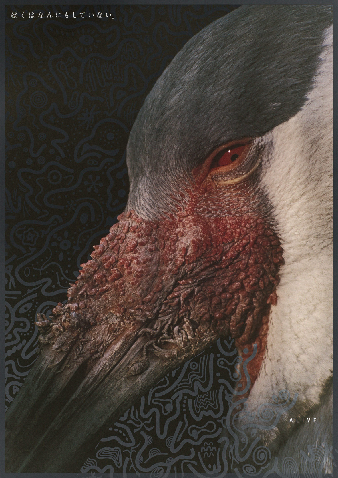 HIROMI INAYOSHI CI DESIGN [稲吉紘実のCIデザイン]