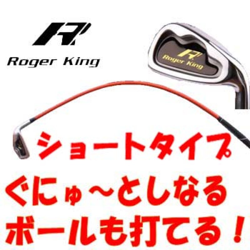 メガゴルフ ゴルフ練習機 広田ゴルフ ロジャーキング スイングドクター