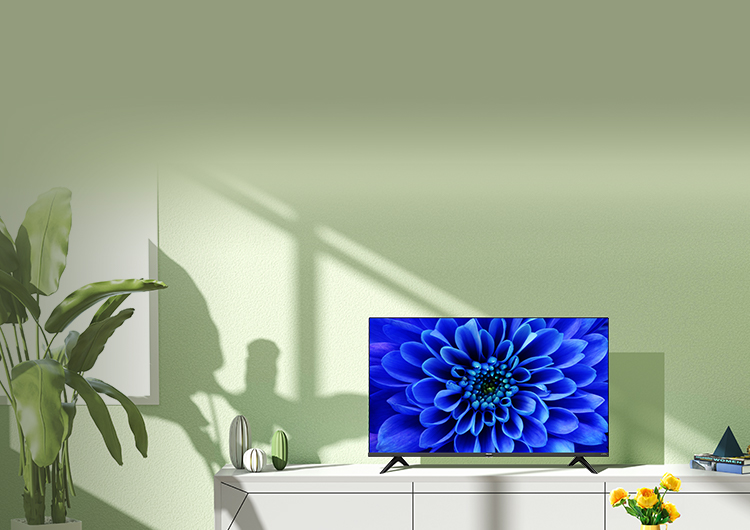 43E6G | ハイセンスジャパン株式会社