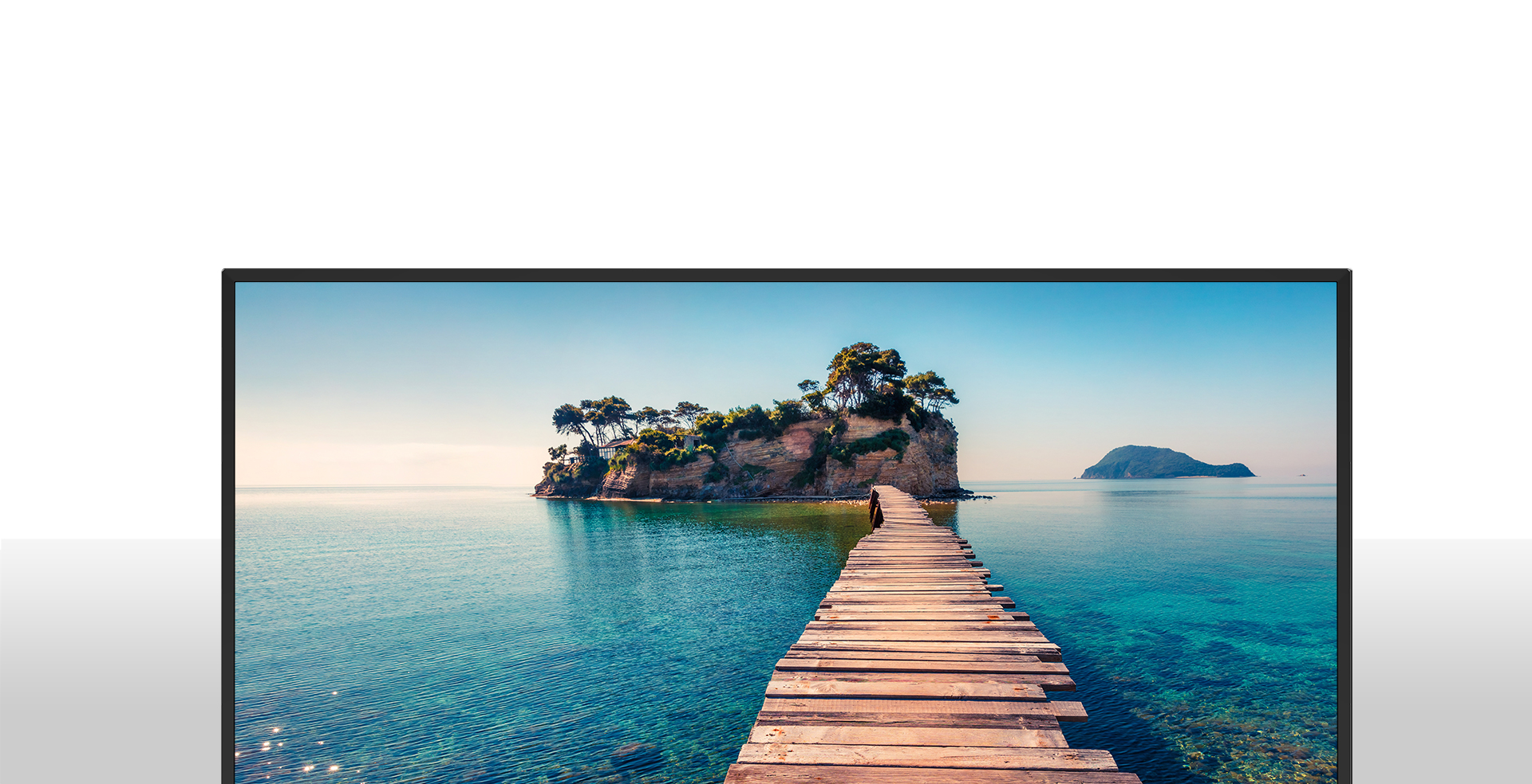 24A50 | ハイセンスジャパン株式会社