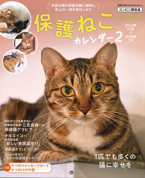 保護ねこカレンダー2 | インテルフィン