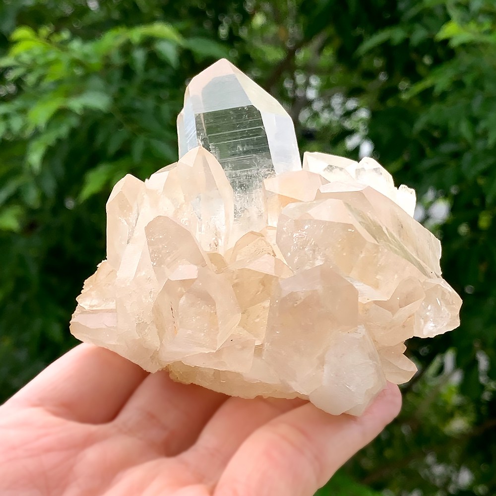 特別価格/高品質・マニカラン産]ヒマラヤ水晶クラスター/原石/イエロー