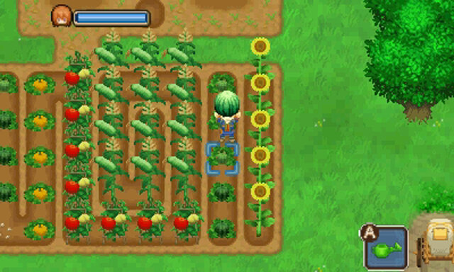 3DS『牧場物語』シリーズをお得に購入できる「秋の収穫祭セール」が