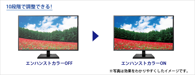 EX-LD4K321VB | 4K対応＆広視野角VAパネル採用 31.5型 ワイド液晶