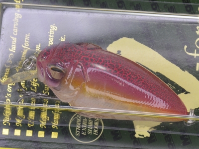 MEGABASS / CYCLONE SR-X | IchibanTackle.com