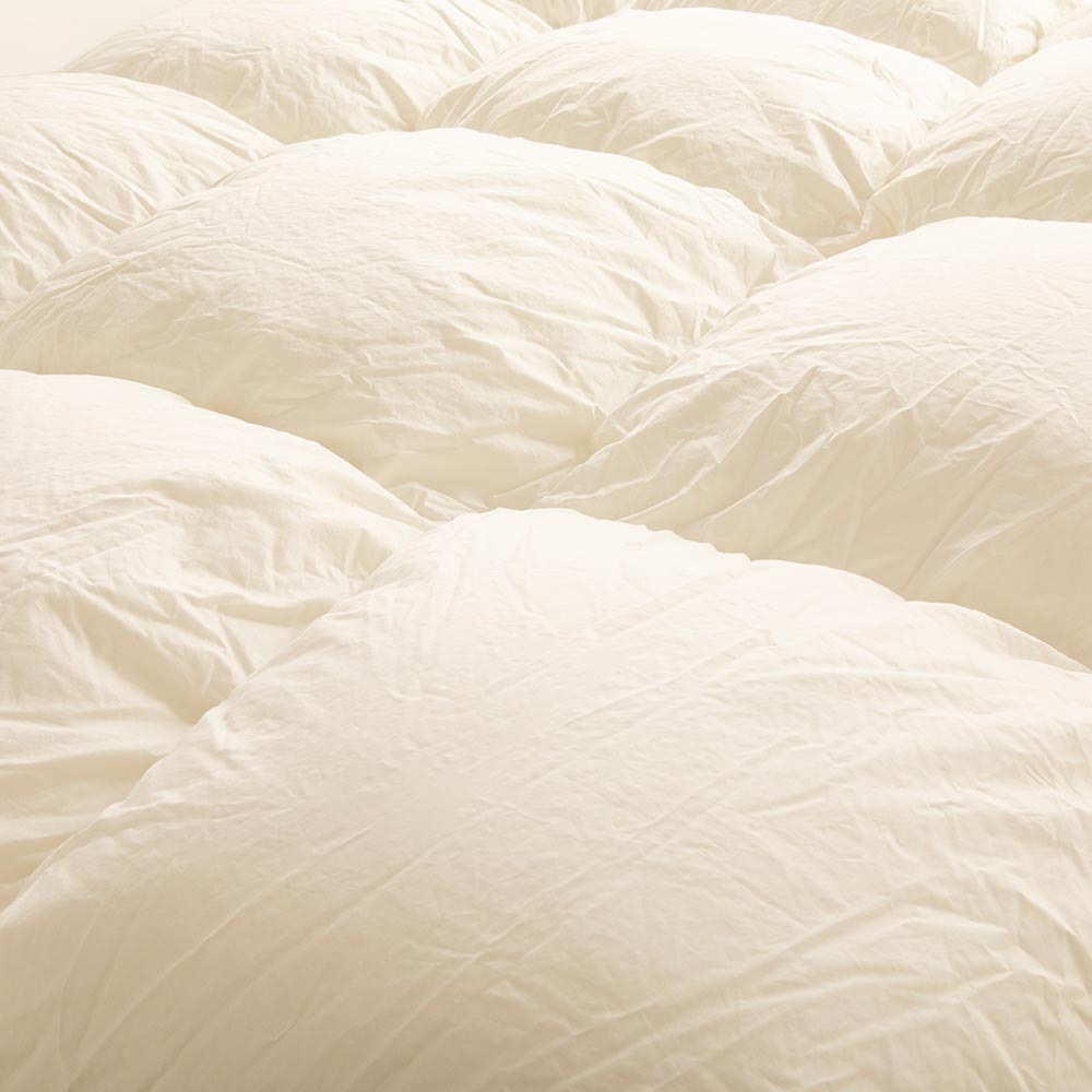 FranceBed（フランスベッド）羽毛布団「セレブレイト」全4サイズ