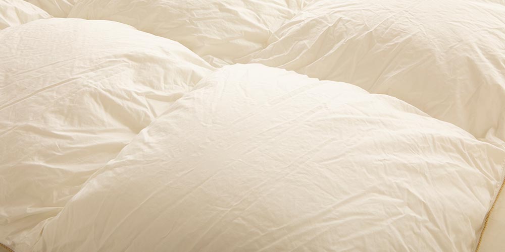 まとめ買い特典 2枚ご購入で10%OFF】FranceBed（フランスベッド）羽毛