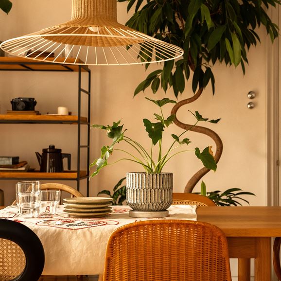 LILIUM LAMP L｜ペンダントランプ｜IDEE SHOP Online