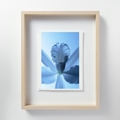 在庫限り】 山口一郎 「HANA-aka」｜これまでに販売した商品｜IDEE