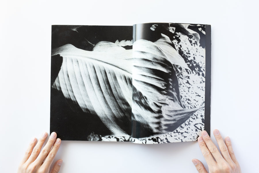 光と影 by 森山大道 – IACK