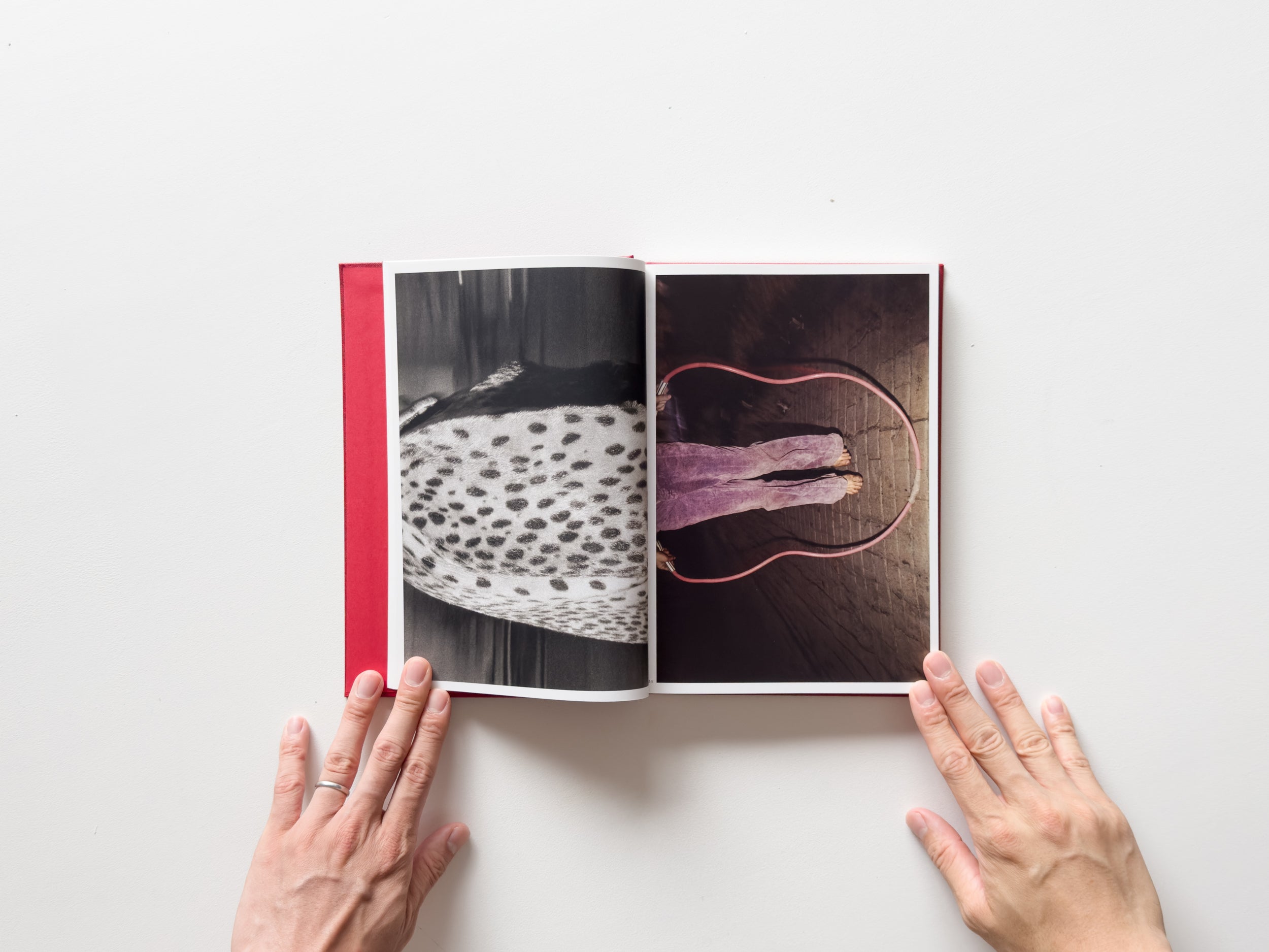 IMG_7007_4100x.jpg?v=1730800544