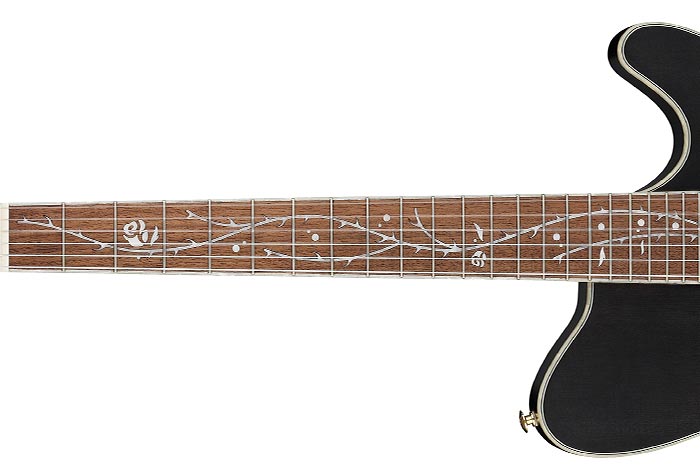 TOD10N | TOD | ACOUSTIC GUITARS | PRODUCTS | Ibanez guitars