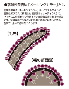 ヘアカラーによるダメージヘアや頭皮の事でお悩みの女性の方へ | 株式