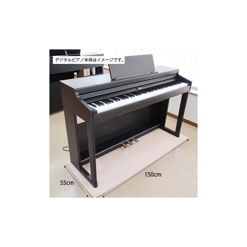 Roland (10年保証)(全国配送設置基本無料※)(豪華特典付) LX-5-LAS