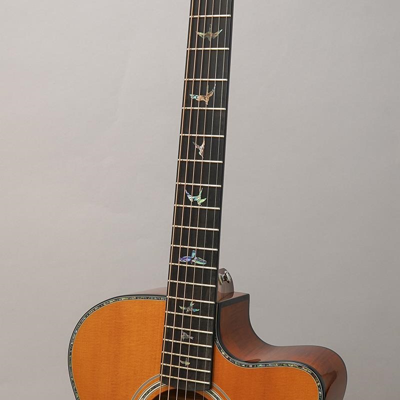 P.R.S. 【半期決算セール】USED 中古 SE Angelus A50E (Nat/Black Gold