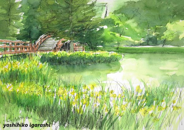 五十嵐吉彦の水彩画