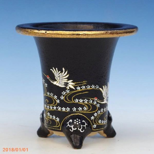 山野草の石田精華園 / 万年青錦鉢(長生蘭錦鉢)