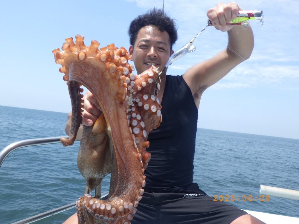 第八・師崎沖、モンスター級巨大マダコゲット！最大3.7㎏でした