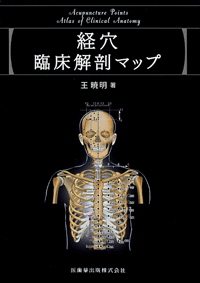 経穴臨床解剖マップ／医歯薬出版株式会社