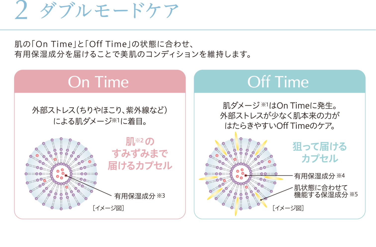 アイビー化粧品 ベーシックプラス 5点セット！ 化粧水／乳液・クリーム