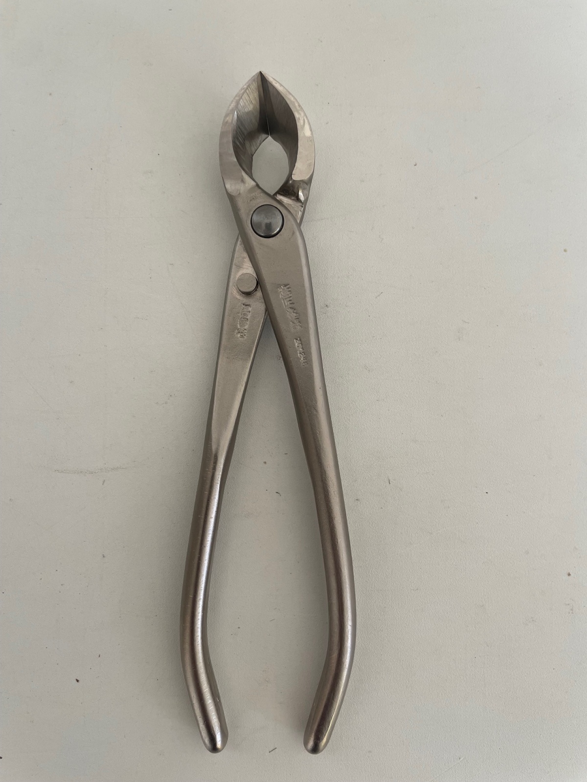 No.8116 白染め又枝切(小) - Bonsai Network Japan