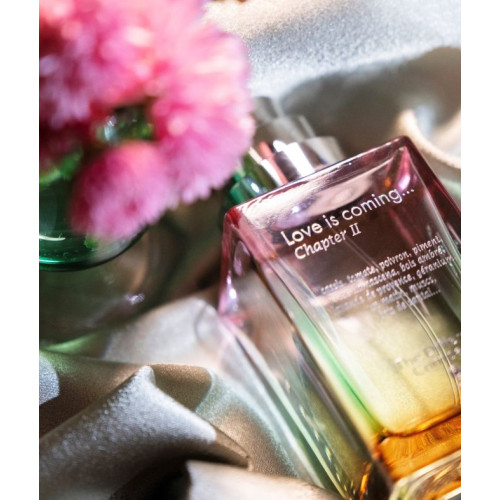 Love Is Coming Chapter II