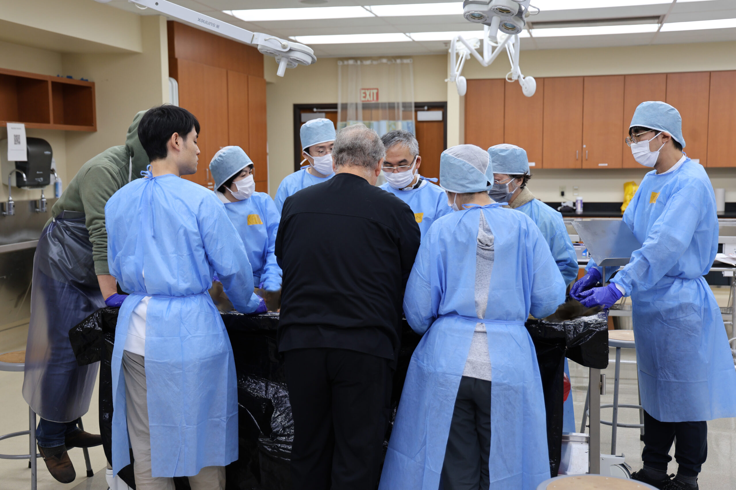 2024 JCO解剖実習レポート：臨床テクニックと絡めた、革新的スタイルの