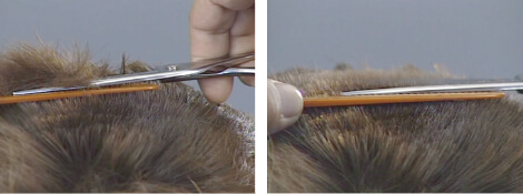 理容用 フラット＆コンベックス | ジョーウェル・シザーズ