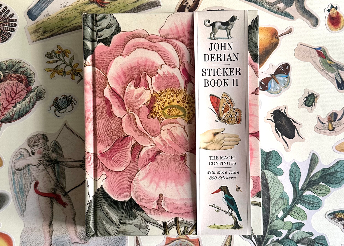 Untitled_design_16_1200x.png?v