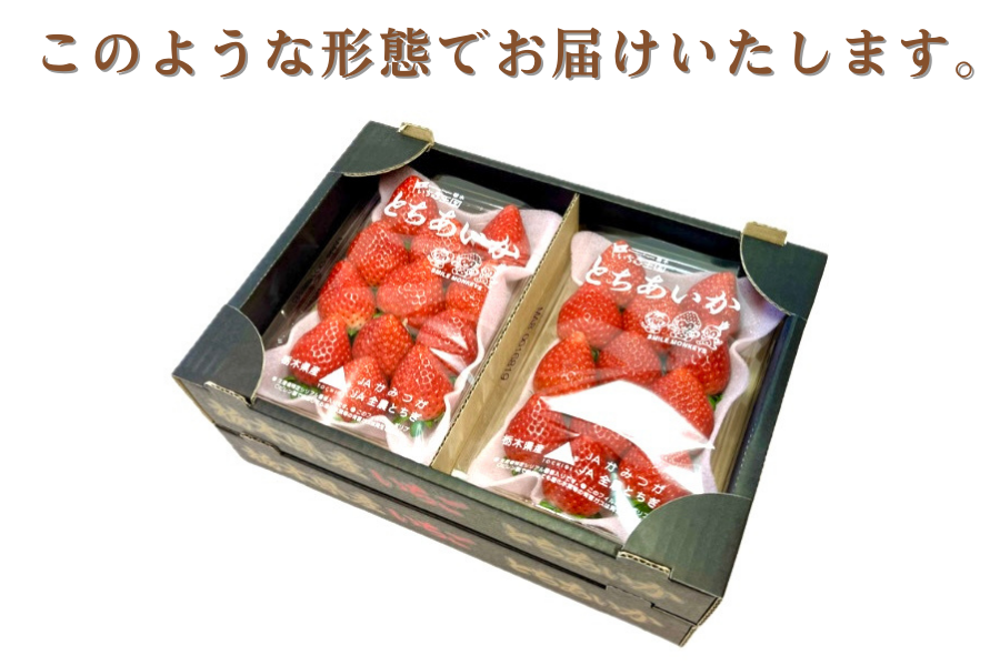 苺 とちあいか (約300g×4パック) 栃木県 JAかみつが産: とちぎ新鮮倉庫