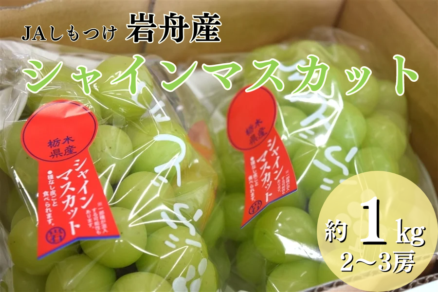 シャインマスカット ブドウ (約1kg/2～3房) JAしもつけ 岩舟産