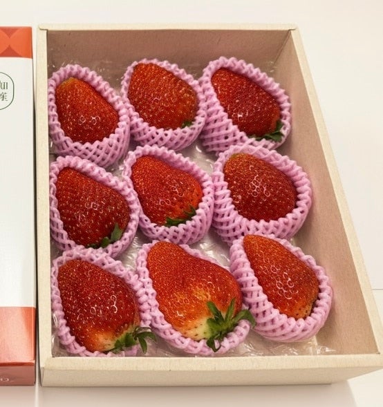 数量限定】愛知県産いちご『でかきらり』約540g: あいちゴコロ|【JA