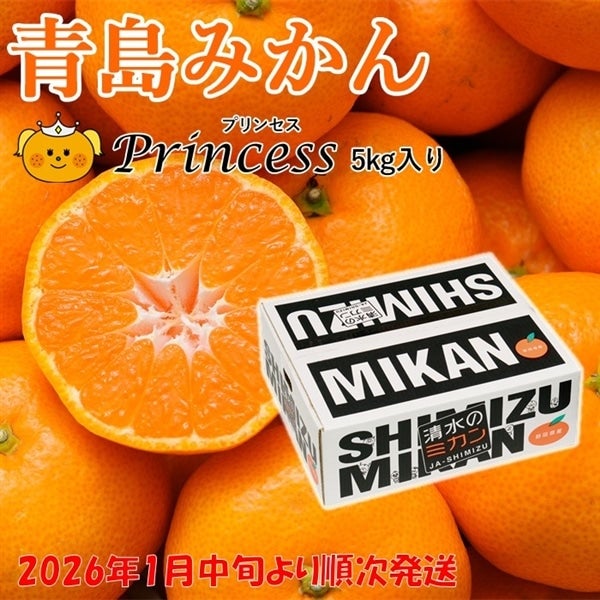 ご予約商品・2026年1月中旬よりご発送】青島みかんPrincess(プリンセス