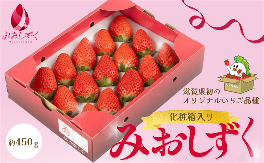 数量限定】滋賀県産いちご「みおしずく」化粧箱入り: 近江の味彩