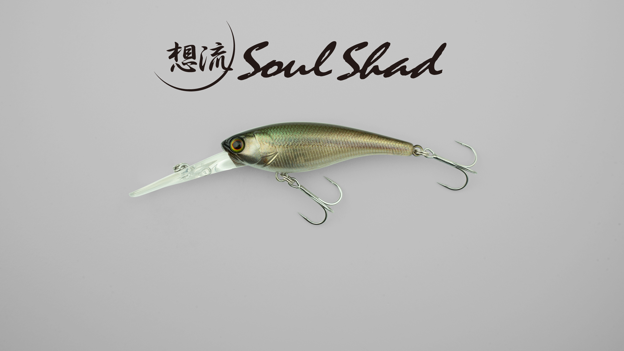 SOUL SHAD / ソウルシャッド - FRESH WATER バス釣り ｜JACKALL