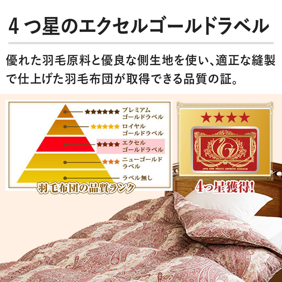 モリリン 布団・快眠グッズ 柄任せエクセル羽毛掛け布団 セミダブル