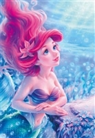 ディズニープリンセスのジグソーパズル｜商品ページ｜日本最大級の