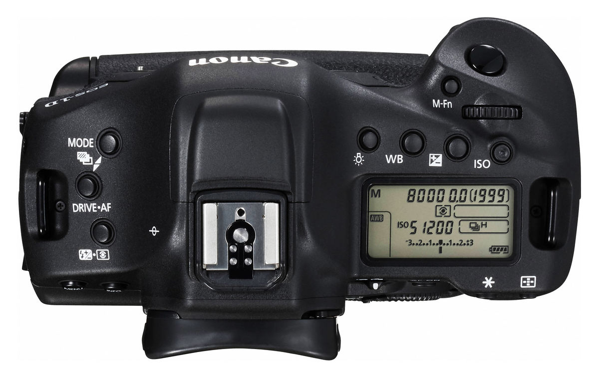 Canon 1DX Mark II : Specifications and Opinions | JuzaPhoto