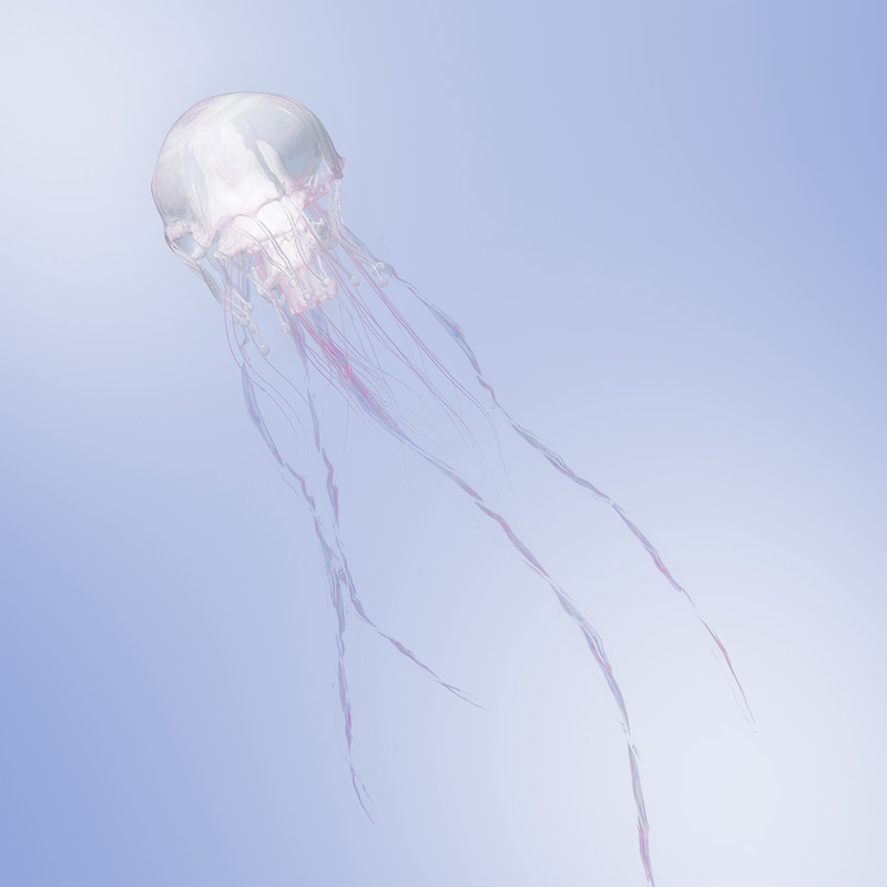 SCANDAL | 初回限定盤A | ビクターエンタテインメント