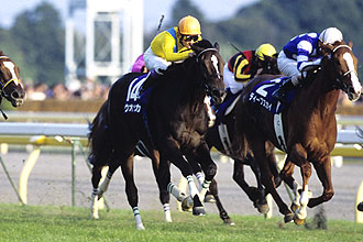 JRAホームページ｜データファイル｜競走成績データ